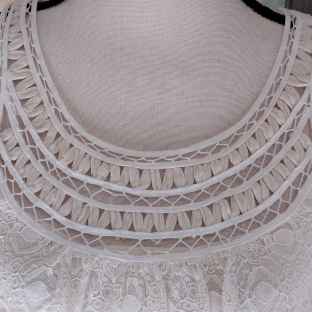 NWT Max Studio Lace Shift Dress - Picture 4 of 13